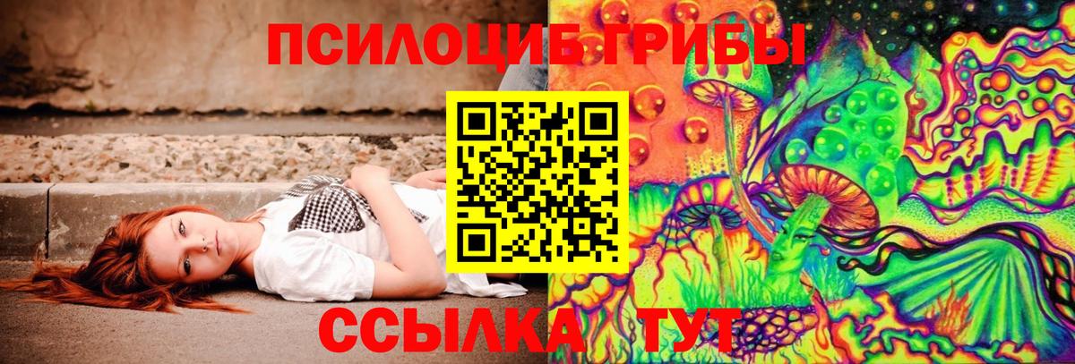 Псилоцибиновые грибы Psilocybe  Вход с VPN  Карпинск 
