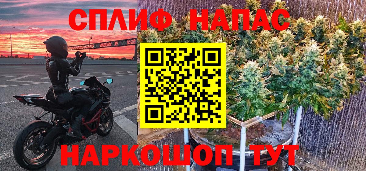 Конопля AK-47  Вход с VPN  Карпинск  Конопля семена  Конопля индика 